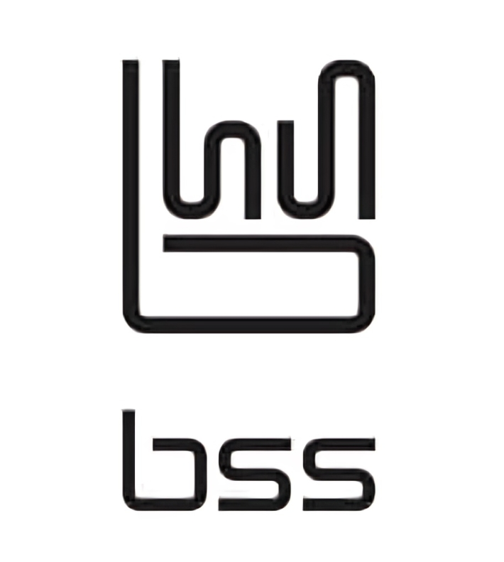 bssit-logo